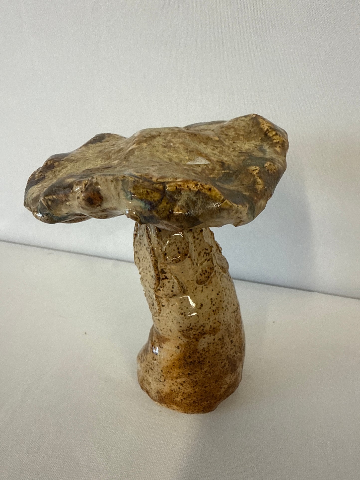 Tea creek clay works mushroom