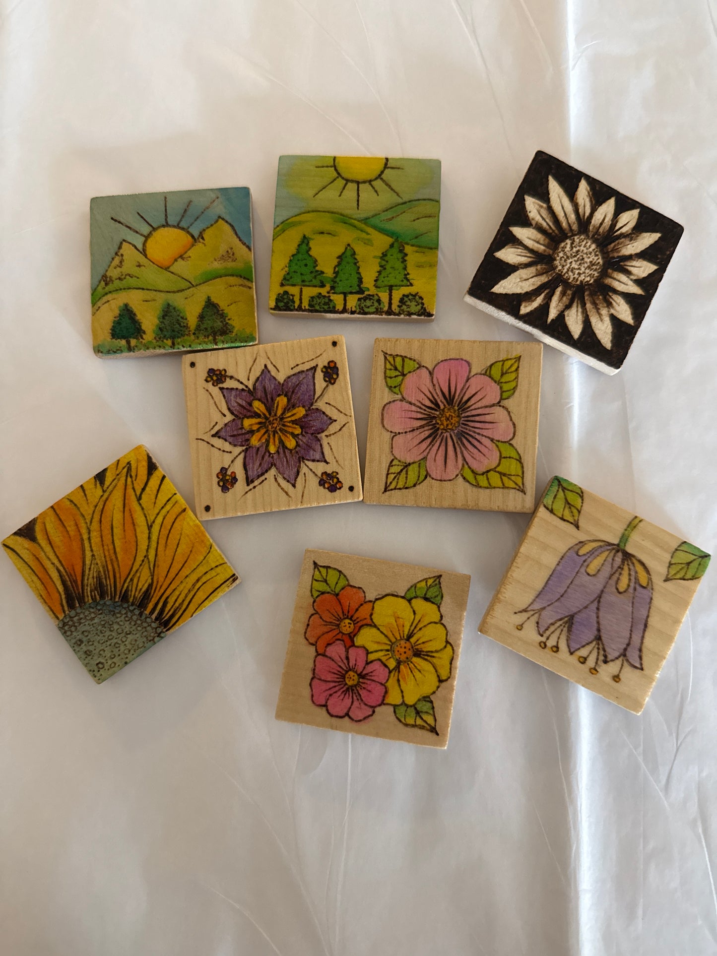 Fridge magnets assorted designs