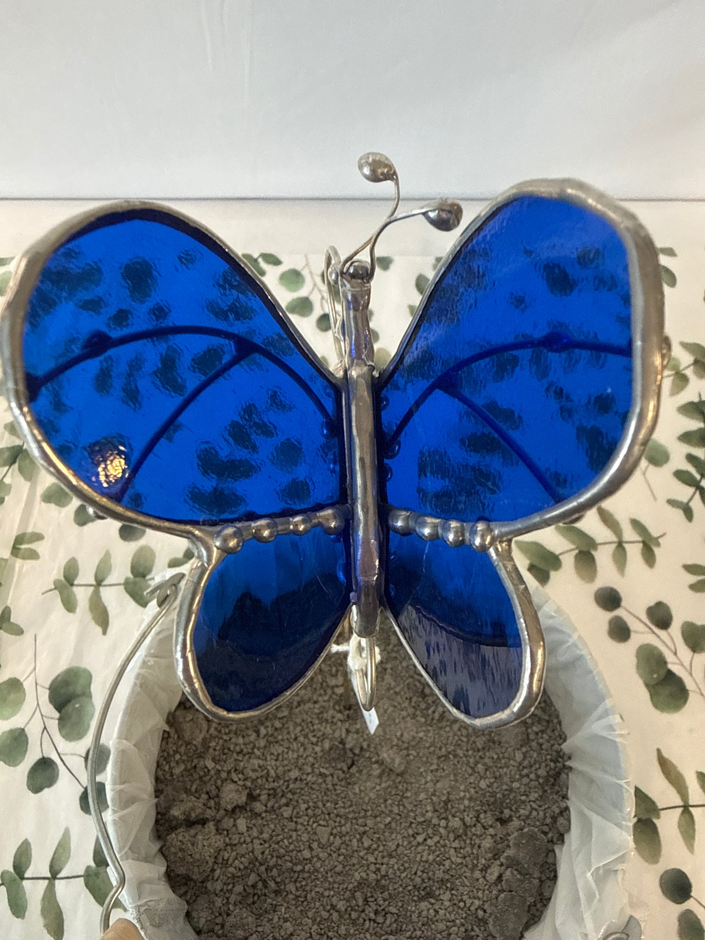 3-D butterfly plant steak