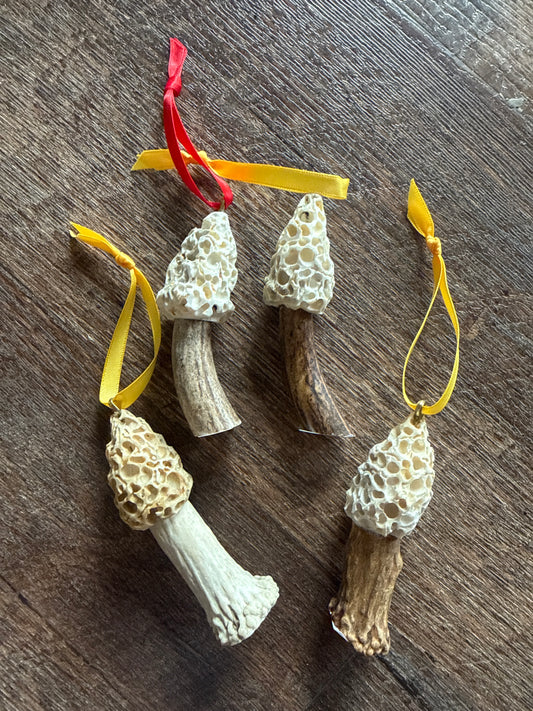 Ornaments deer shed and elk crown