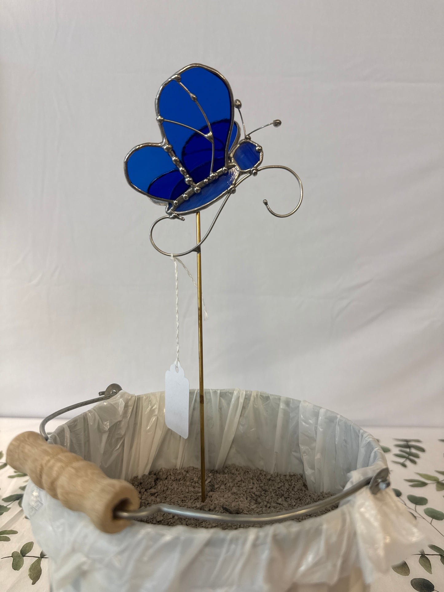 3-D butterfly plant steak