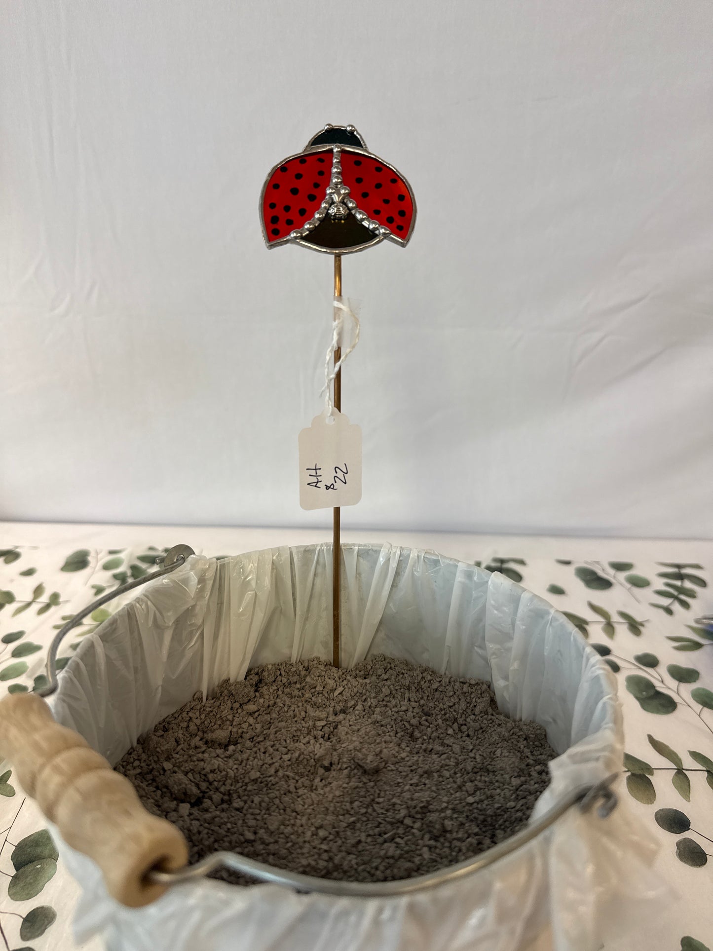 Ladybug plant steak