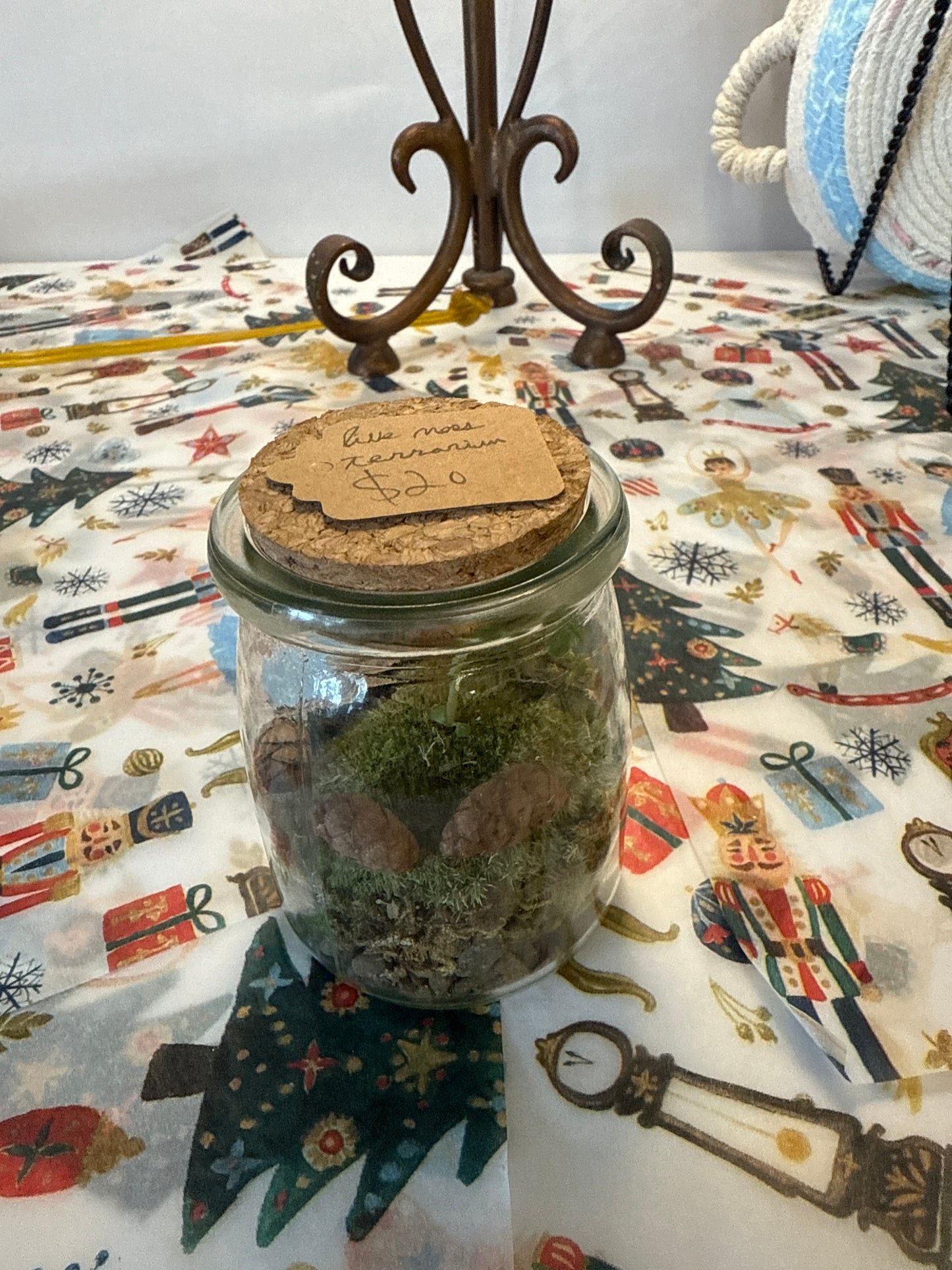 Live moss terrarium assorted