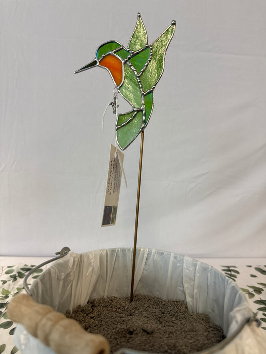 Hummingbird plant steak