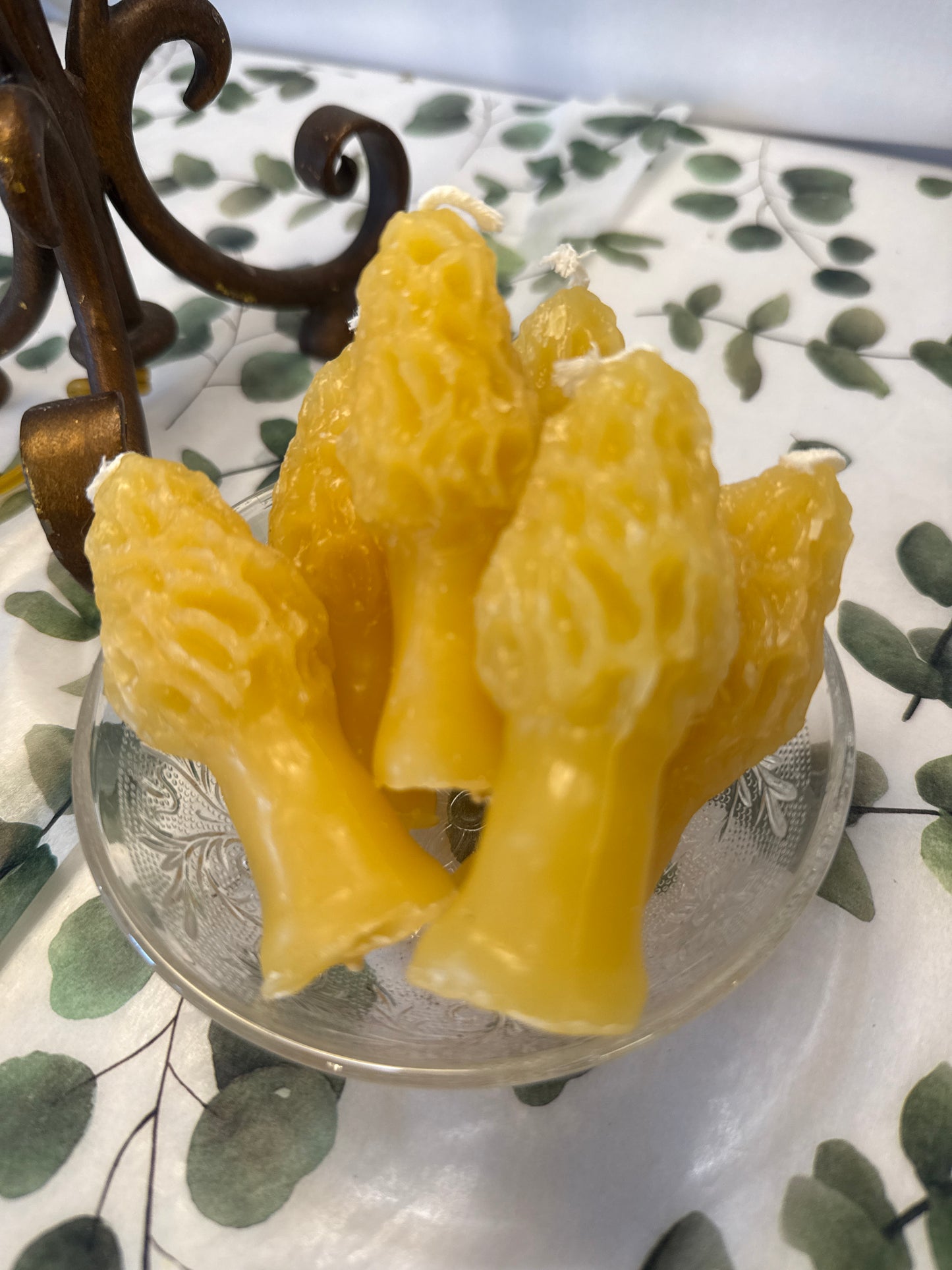 Morel beeswax candles