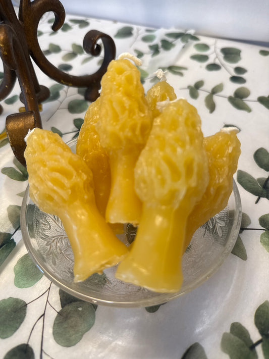 Morel beeswax candles