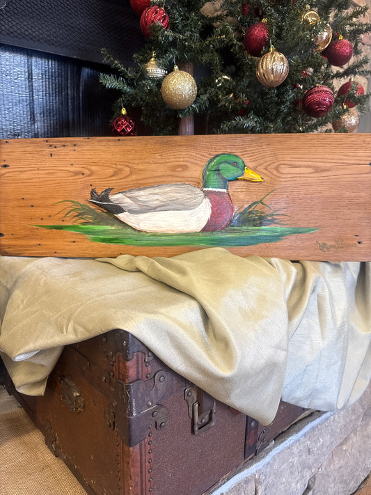 Mallard on American chestnut