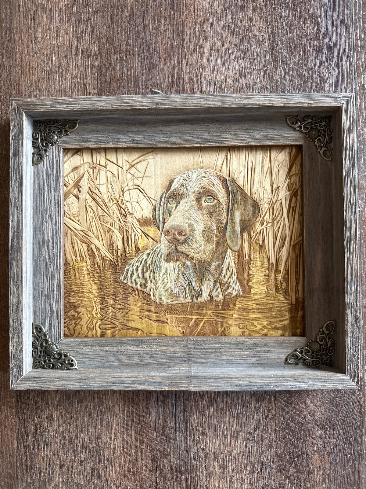 Duck sporting dog #006