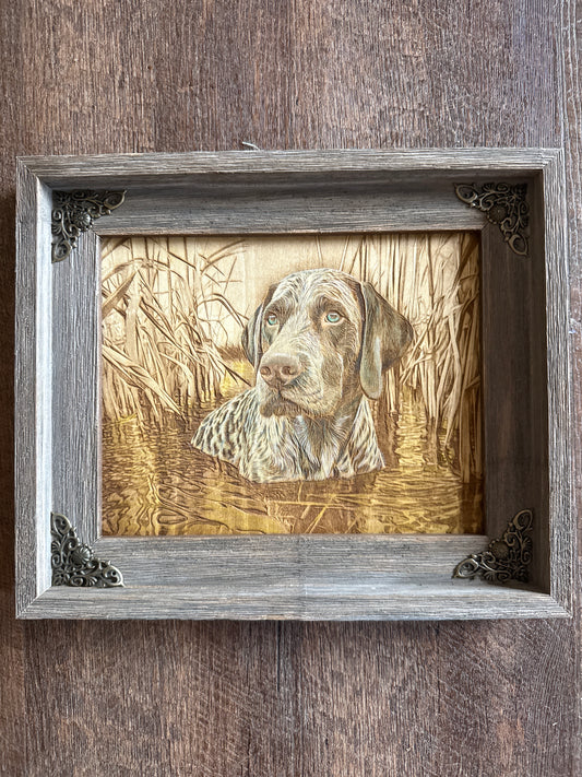 Duck sporting dog #006