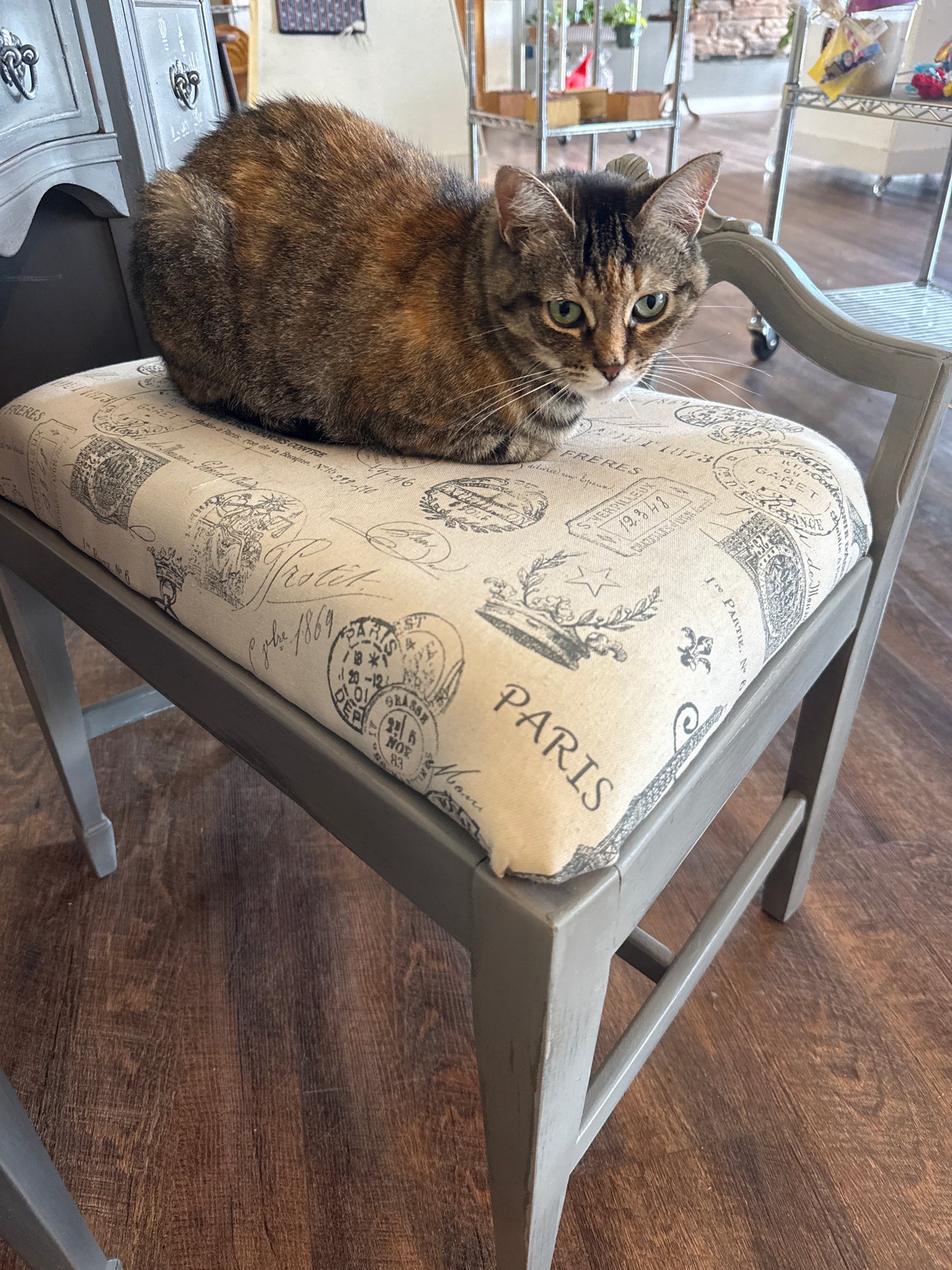 Chair only
