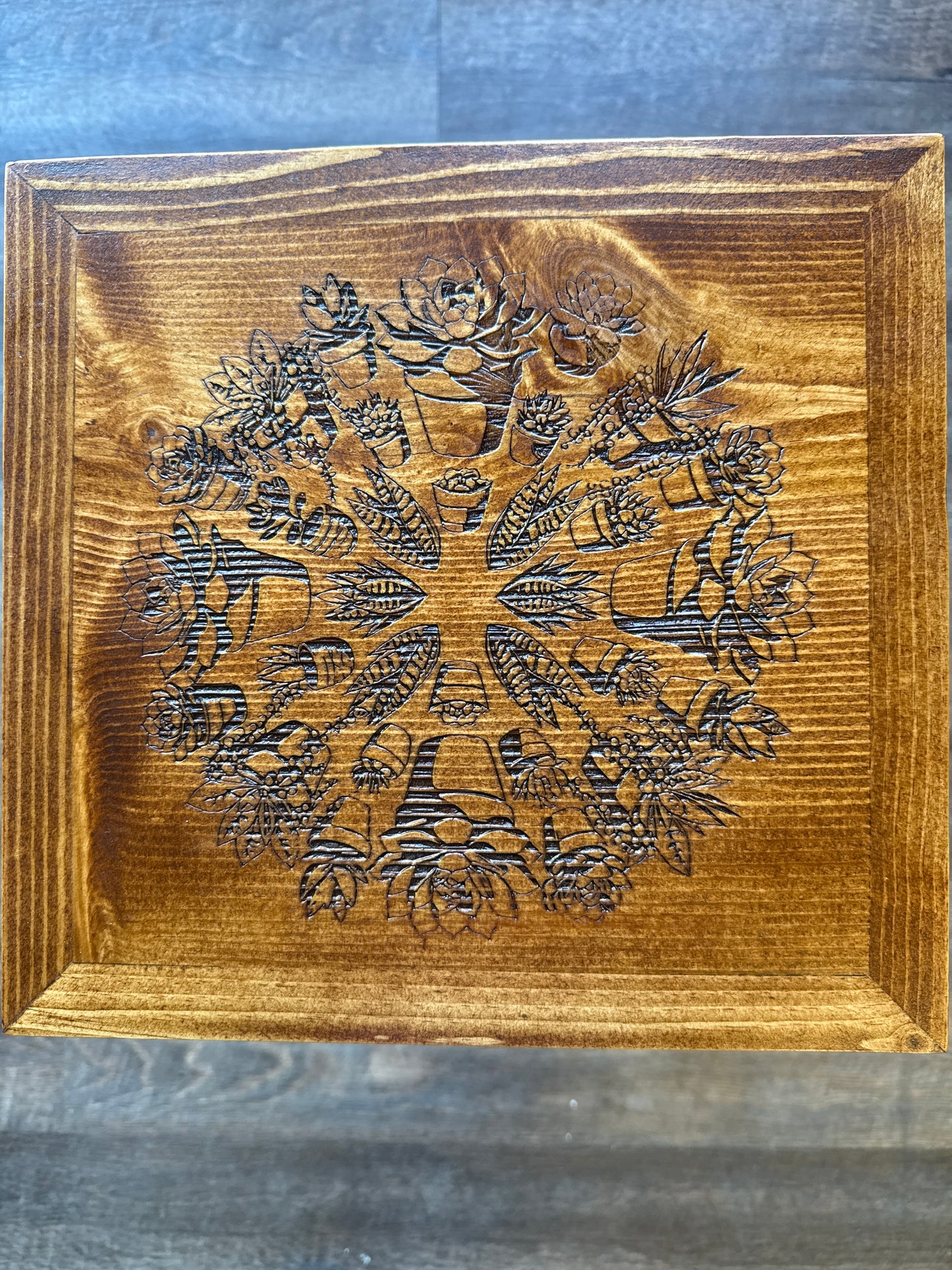 Plant stand, succulent￼