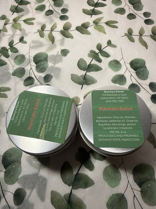Plantain salve, 2 ounce