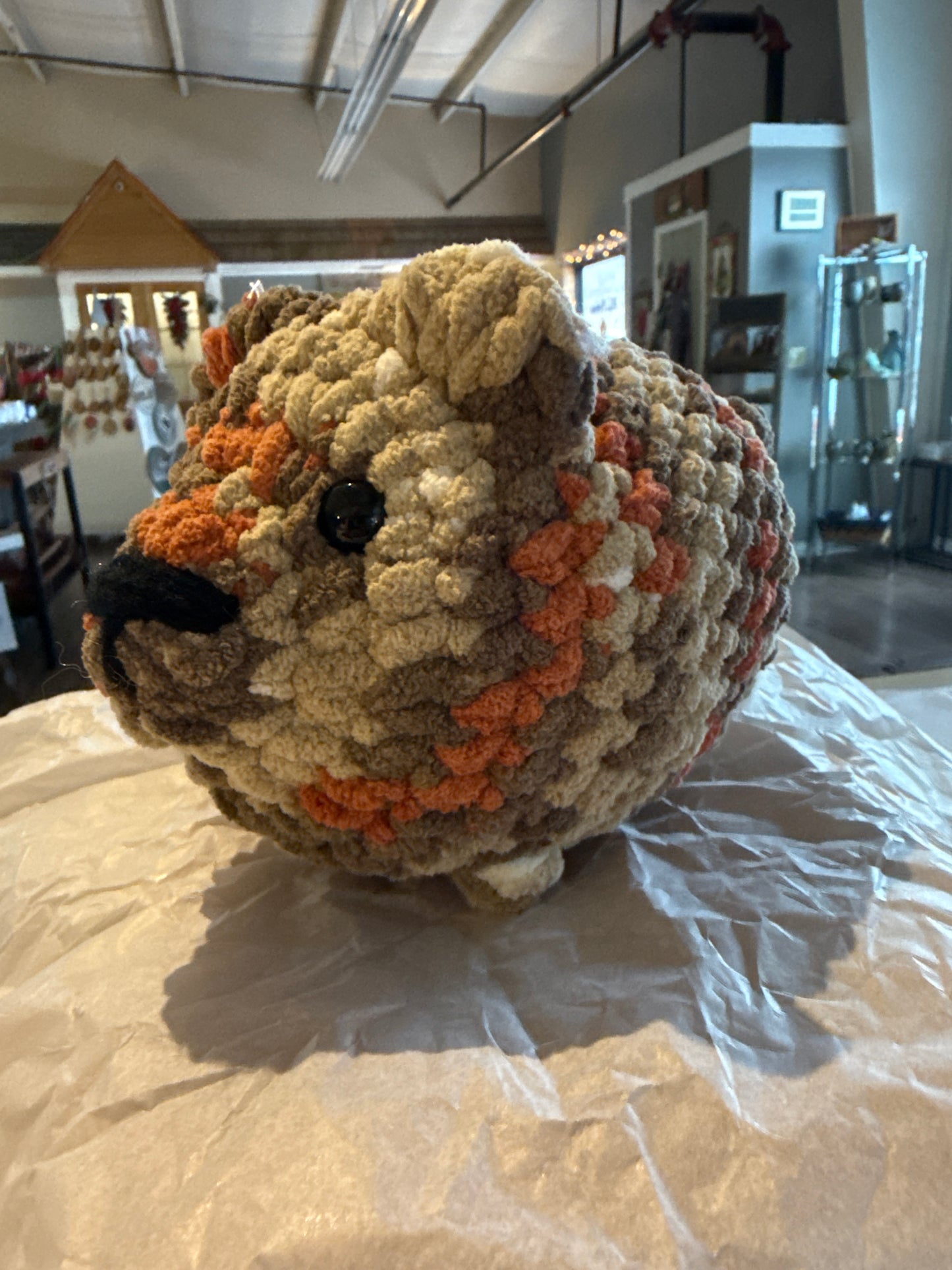Loaf puppy large
